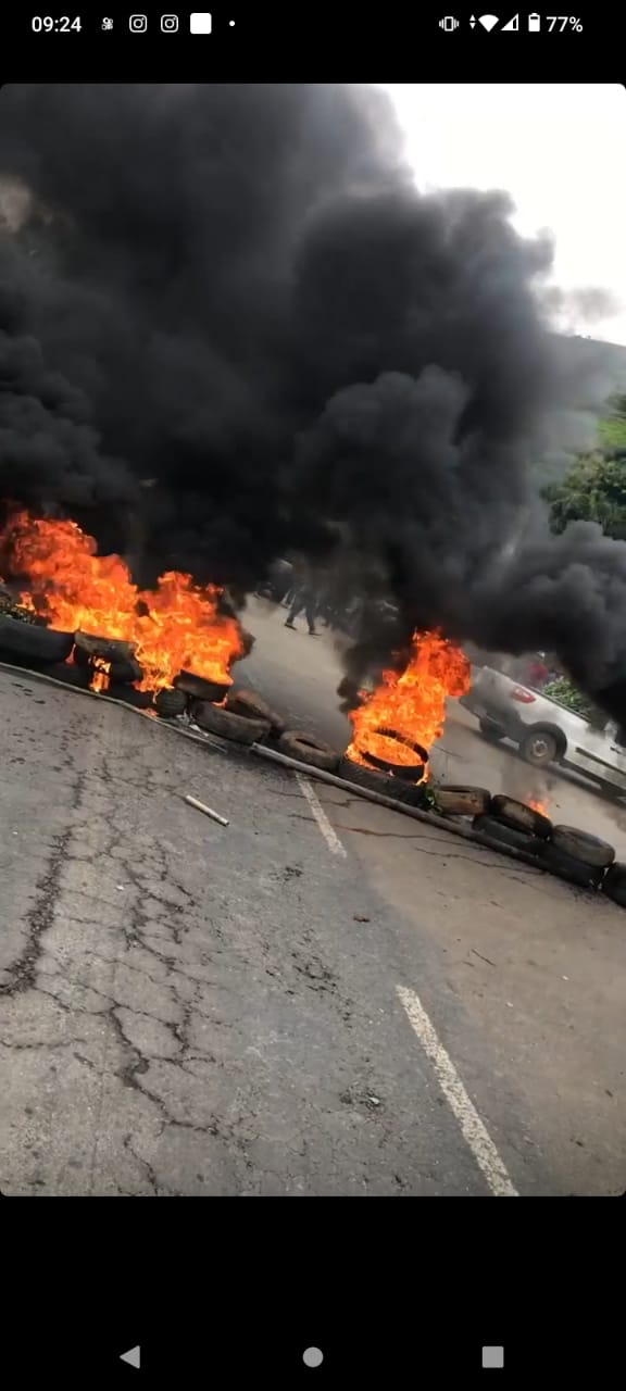 WhatsApp Image 2021-11-10 at 09.23.59.jpeg